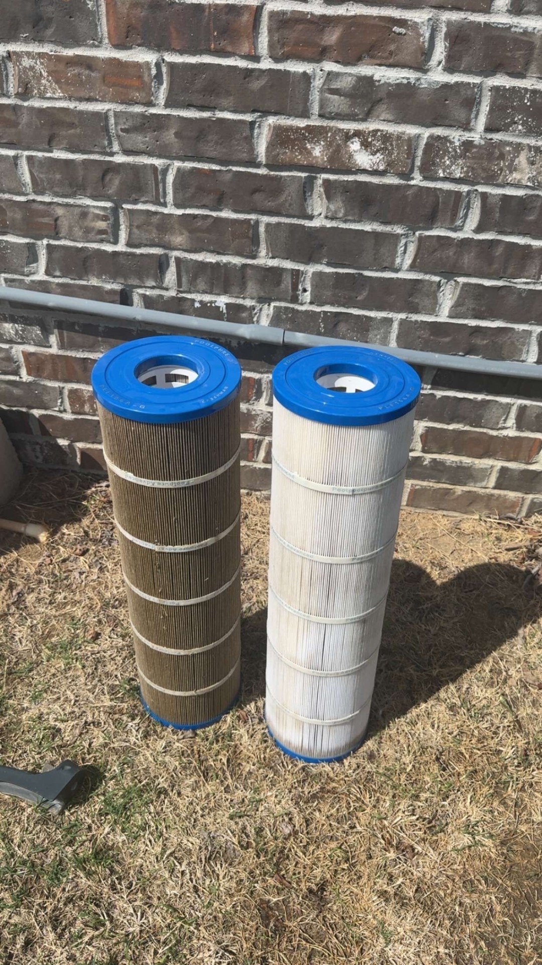 Cartridge filter cleaning
