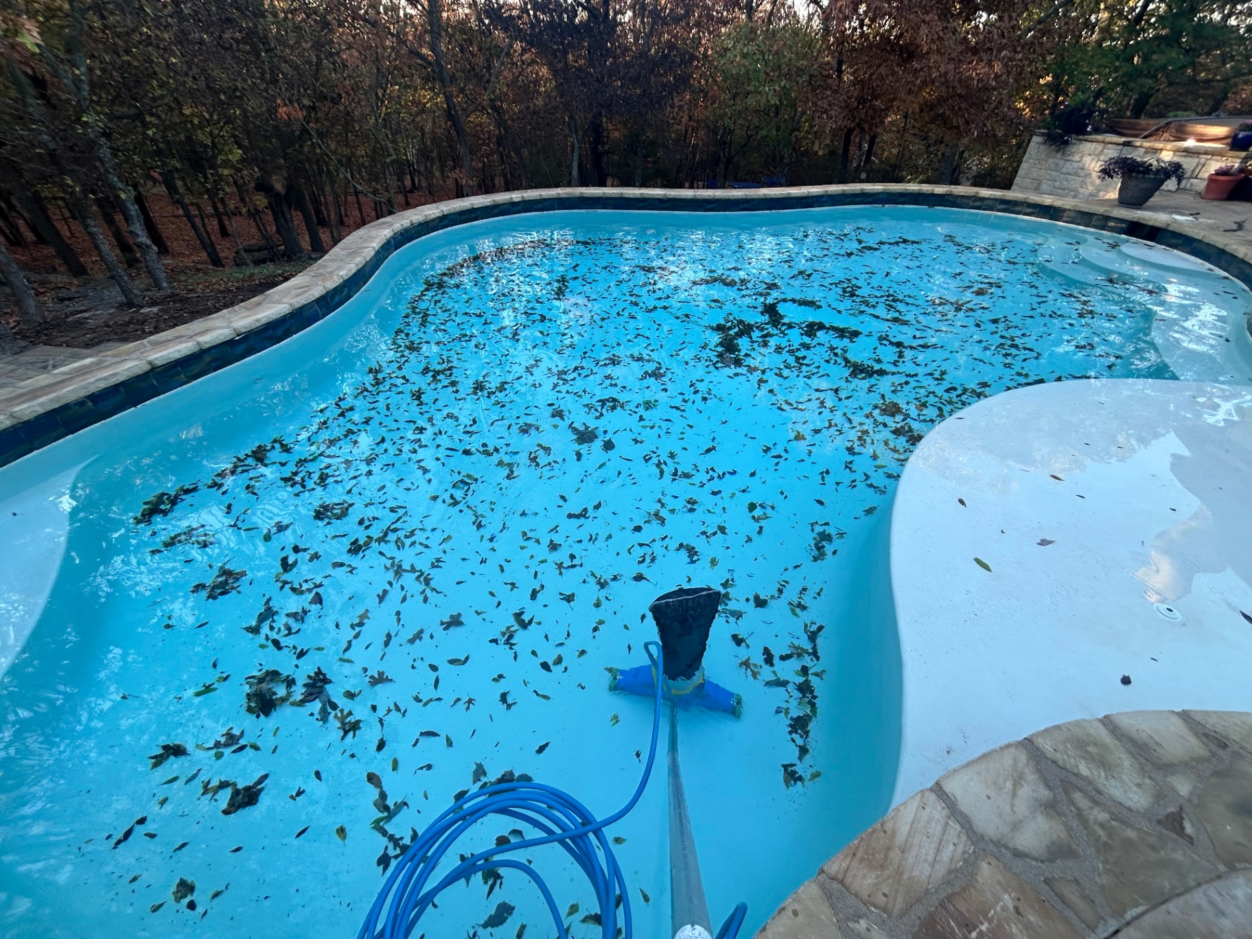 Before — fall debris cleanup